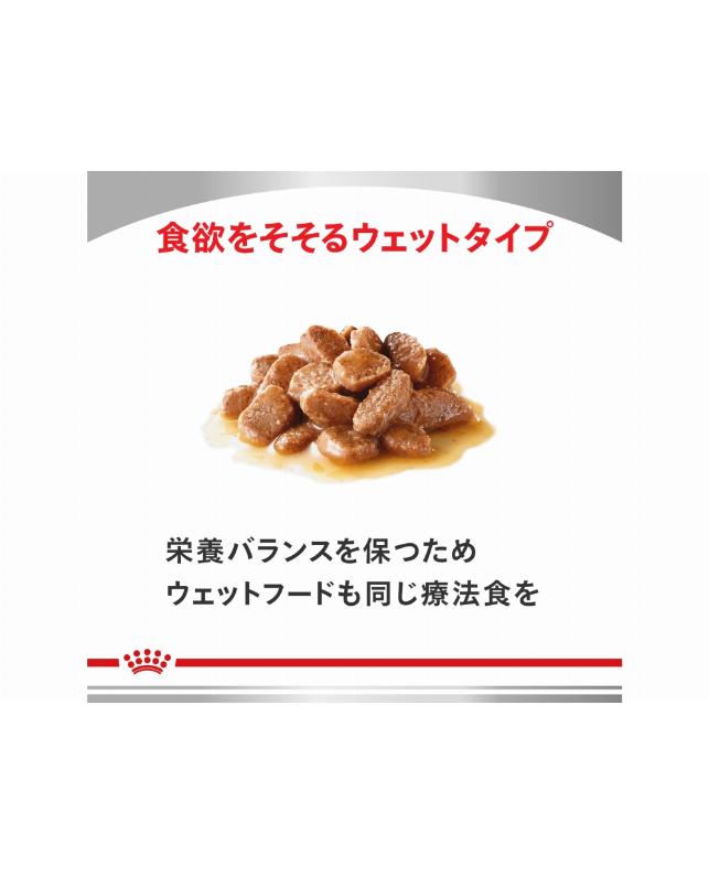 ロイヤルカナン 〈犬用〉 腎臓サポート 3kg（3182550716192