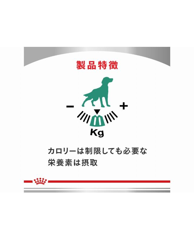 【まぁるママ】 CANIN 満腹感サポート 8kg×2 まぁるママ様専用】ROYAL CANIN 満腹感サポート 8kg 【公式通販】