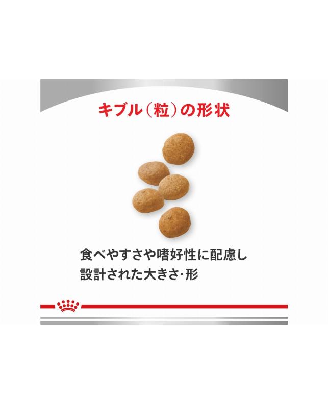 犬用 消化器サポート（高繊維） 1kg ×2個 ヨドバシ.com - ROYAL CANIN ロイヤルカナン ロイヤルカナン 犬用 消化