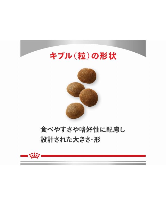 【ポコペン】 CANIN 消化器サポート 1kg×3袋 ロイヤルカナン（ROYAL CANIN） 犬 消化器サポート 低脂肪 小型犬用S