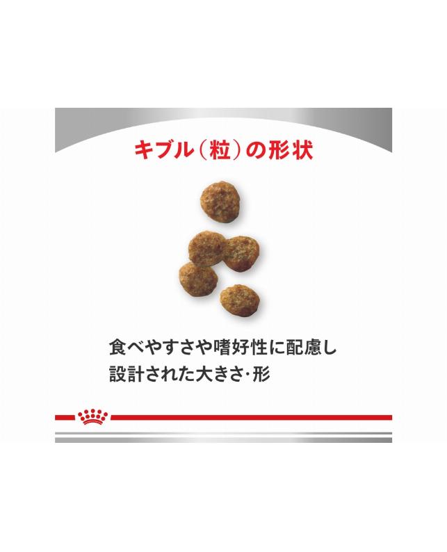 ロイヤルカナン 〈犬用〉 セレクトスキンケア 3kg（3182550929493