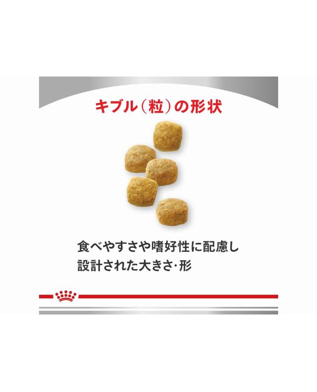 ロイヤルカナン Dライン 〈犬用〉 エイジングケア 1kg（3182550933827