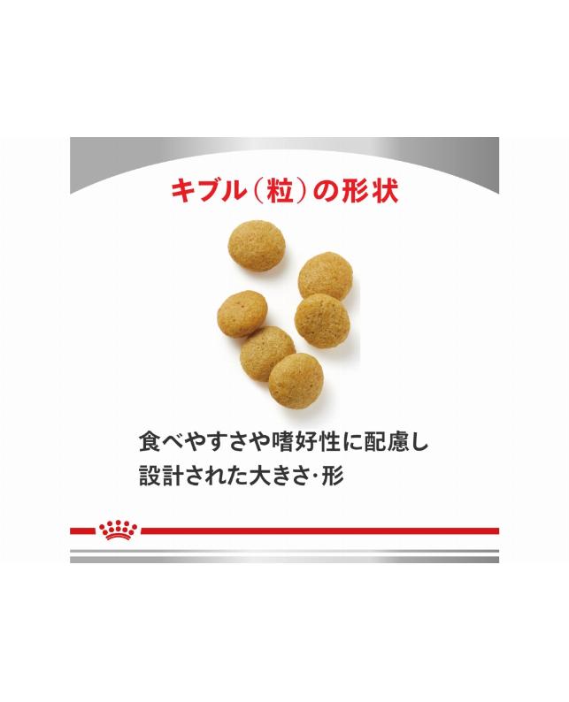 24時間以内発送‼️ロイヤルカナン　アミノペプチドフォーミュラ小型犬用1kg2袋 ロイヤルカナン Dライン 〈犬用〉 アミノペプチド フォーミュラ 小型犬