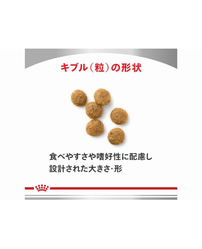 ロイヤルカナン 〈犬用〉 早期腎臓サポート 小粒 3kg（3182550959513