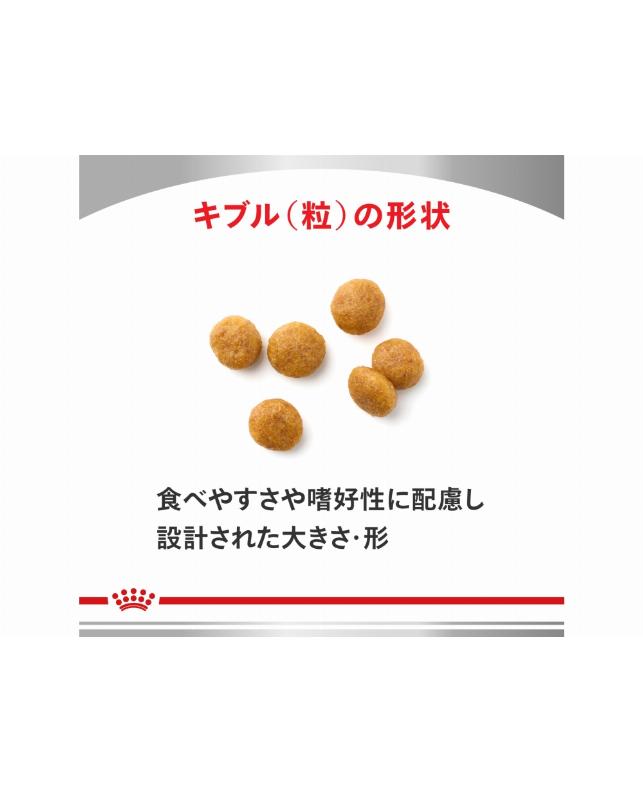 ロイヤルカナン　ユリナリーS/Oエイジング7+　小粒S 犬用食事療法 | ユリナリーS/O エイジング7+ 小粒 ドライ | ベッツ