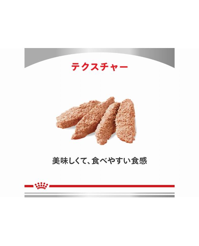 ロイヤルカナン Dライン 〈犬用〉 エイジングケア パウチ 85g×24個