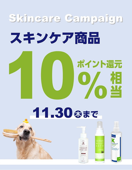 スキンケアキャンペーン スキンケア商品10％相当ポイント還元 11.01（水）～11.30（木）