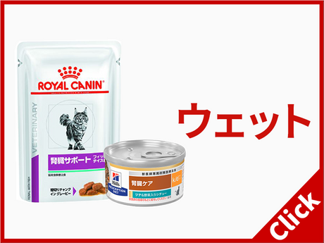 ウェット