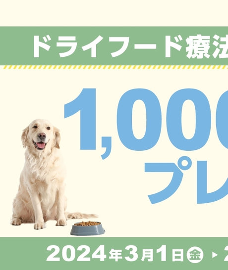 ドライフード療法食2点以上お買い上げで