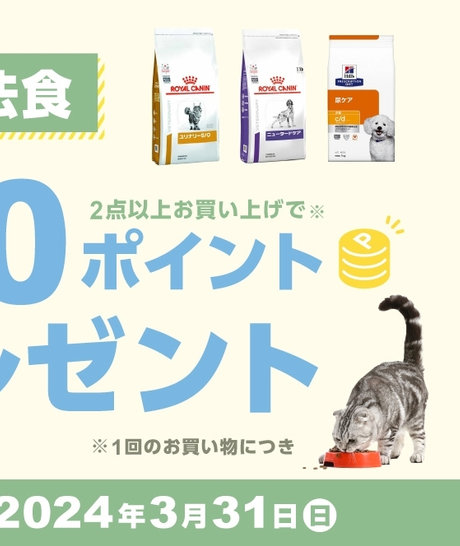 1,000ポイントプレゼント