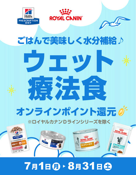 ごはんで美味しく水分補給♪ ウェット療法食 オンラインポイント還元 ※ロイヤルカナンDラインシリーズを除く 7月1日(月)～8月31日(土)