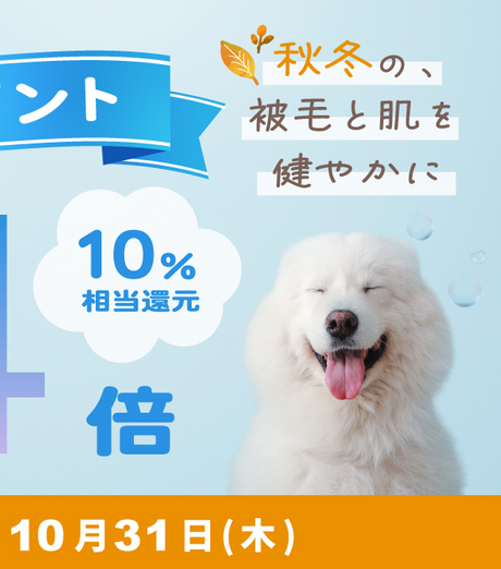 対象スキンケア商品 ポイント4倍 10％相当還元 10月1日(火)～10月31日(木)