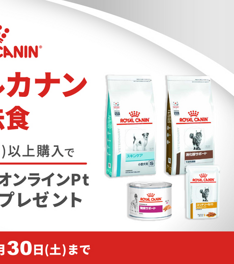  3,300円(税込)以上購入で300オンラインPtプレゼント 2024年11月30日(土)まで