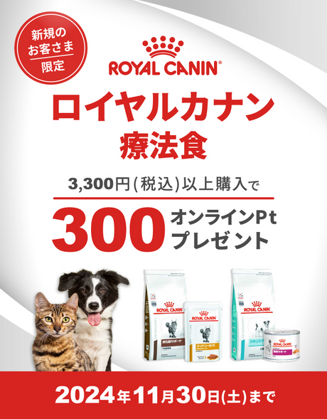 新規のお客様限定 ロイヤルカナン療法食 3,300円(税込)以上購入で300オンラインPtプレゼント 2024年11月30日(土)まで