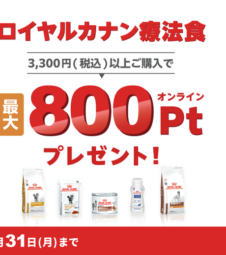 3,300円(税込)以上購入で 最大800オンラインPtプレゼント 2025年3月31日(月)まで