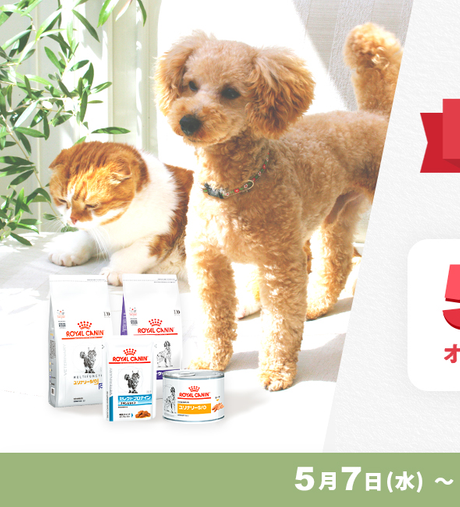 新規のお客様限定 ロイヤルカナン食事療法食 3,300円(税込)以上購入で 500オンラインポイント + 次回使える300円クーポン プレゼント