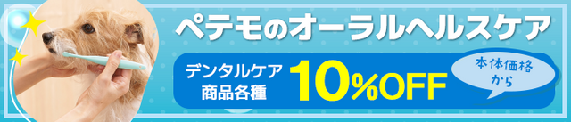 6月はオーラルヘルスケア習慣