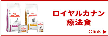 ロイカナ療法食