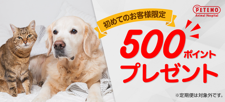 初めてのお客様ご利用特典