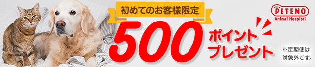 初めてのお客様限定！500ポイントプレゼント
