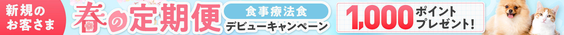 春の定期便（2～9日）