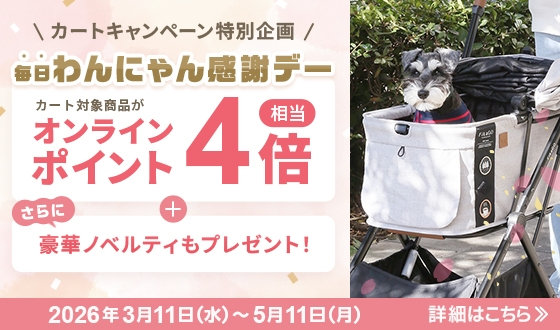 春のカートキャンペーン