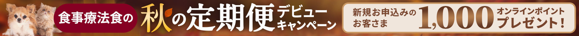 秋の定期便キャンペーン